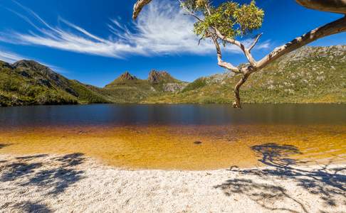 Lake Dove Beach - Cradle Mountain - Tasmania