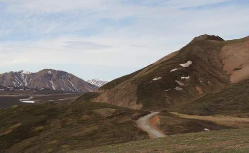 Denali National Park