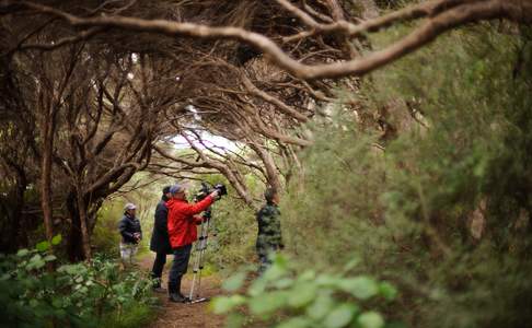 Kapiti Island wandeling © Mark Tantrum