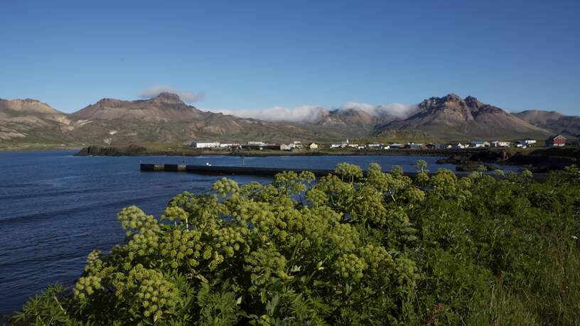 Borgarfjördur Eystri