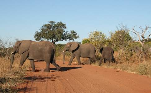 Chobe National Park