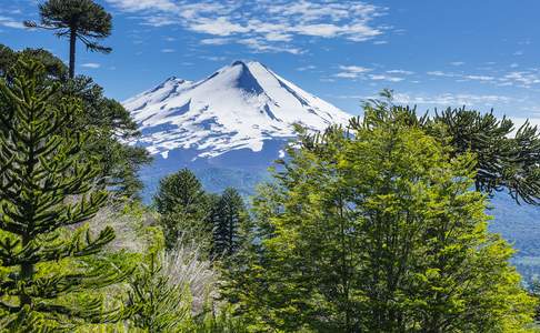 Conguillio National Park