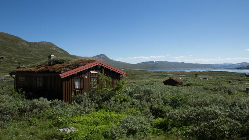 Vakantiehuisje Tyinholmen Høyfjellsstuer, Noorwegen