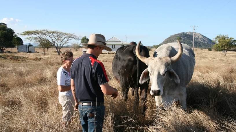 Henderson Farmstay