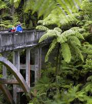 Whanganui National Park - Bridge to Nowhere