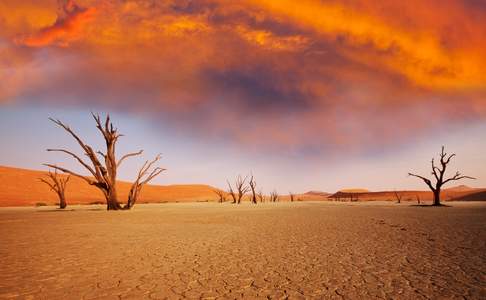 Deadvlei, Namibië