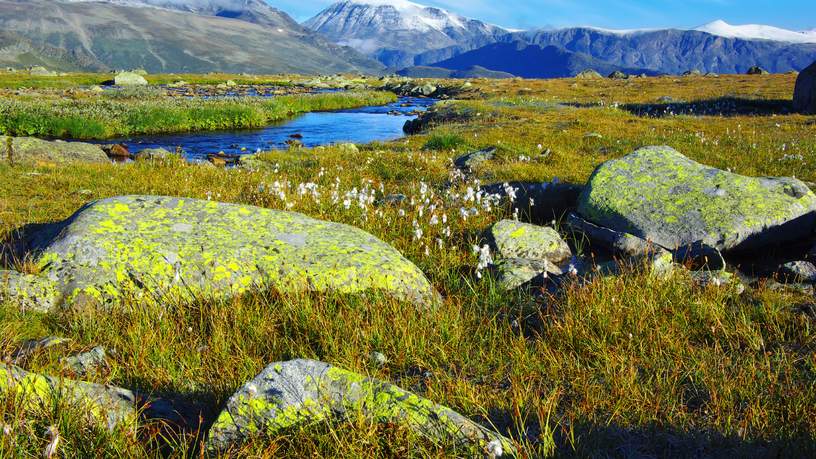 Jotunheimen