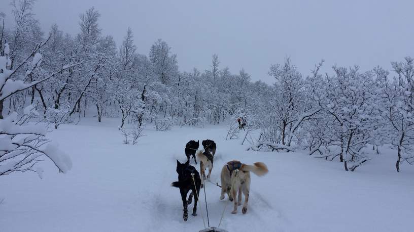 "We suizen geruisloos door het prachtige besneeuwde landschap"