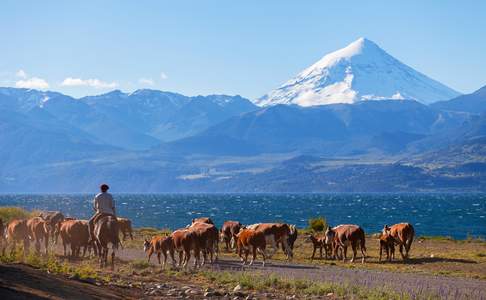 Lanin vulkaan in het merengebied, Patagonië