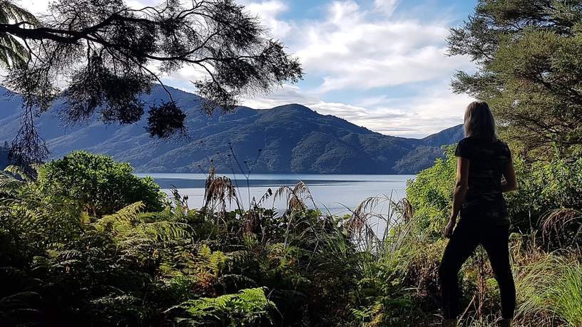De Marlborough Sounds in Nieuw-Zeeland