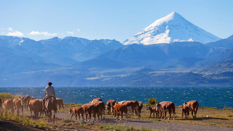 Lanin vulkaan in het merengebied, Patagonië