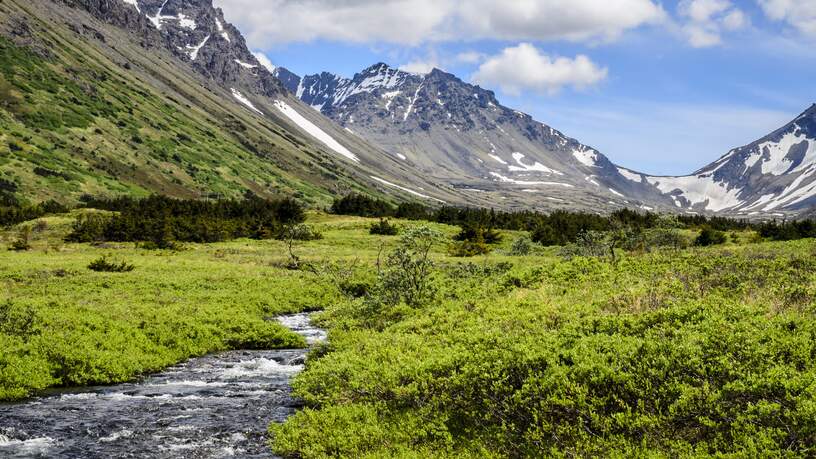 South Fork - Campbell Creek - Chugach Mountains - Anchorage