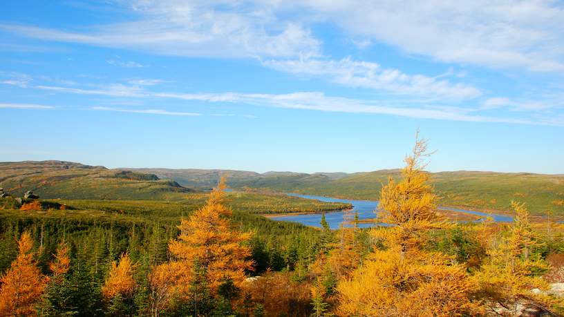 Uitzicht vanaf Trans Labrador Highway