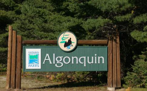 Algonquin Provincial Park