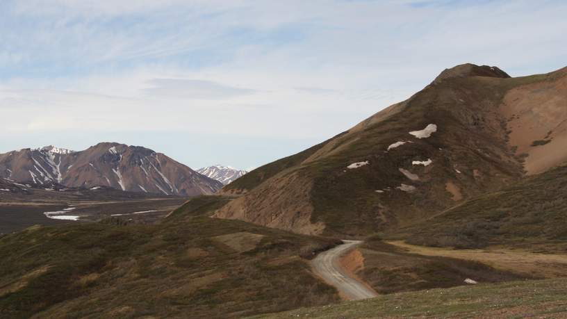 Denali National Park