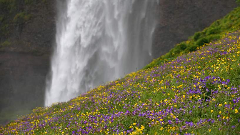 Seljalandsfoss