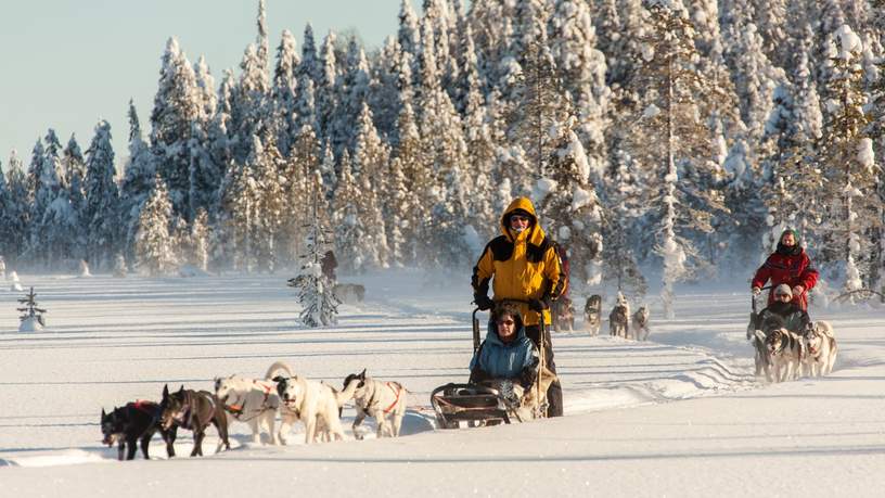 De natuur in met een huskysafari, genieten!