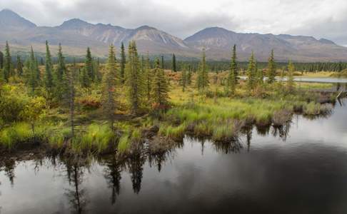 Denali Highway