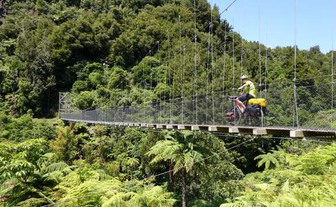 Timber Trail, Pureora Forest Park, Nieuw-Zeeland