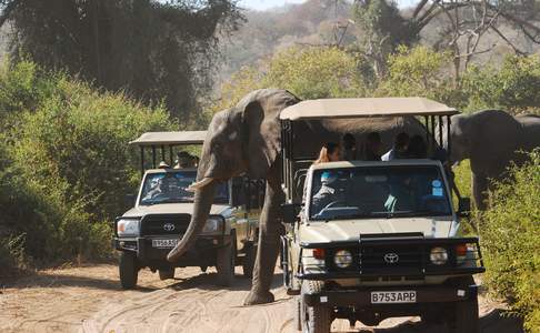 Chobe National Park