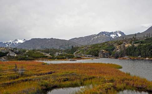 White Pass