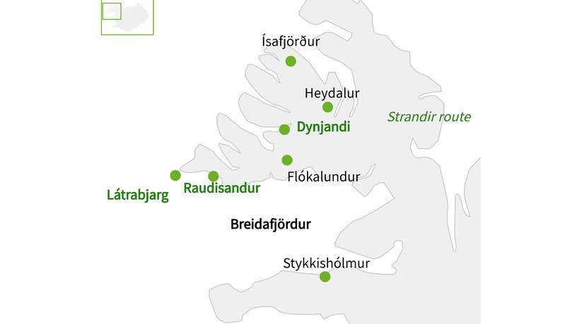De Westfjorden van IJsland