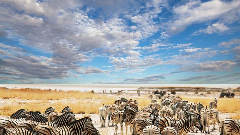 De kracht van Zuid- Afrika: z’n veelzijdigheid.