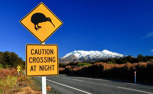 Kiwi Road met Mount Ruapehu, Tongariro National Park, Noordereiland