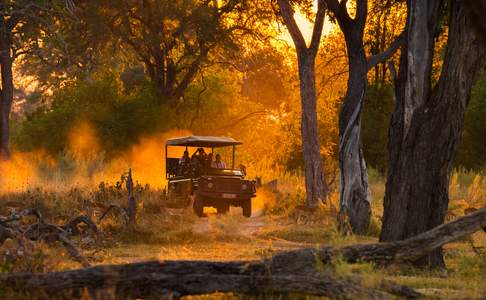 Moremi Game Reserve