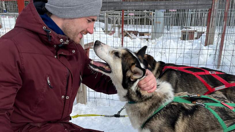 Na de huskysafari verwachten de honden natuurlijk wel een knuffel.