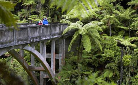 Whanganui National Park - Bridge to Nowhere