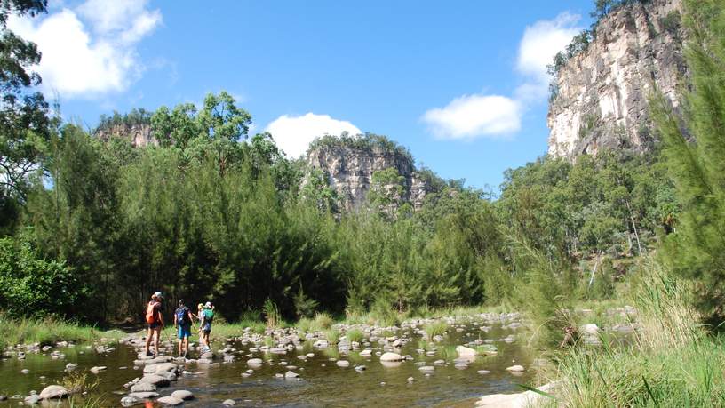 Carnarvon Creek, oversteken in Carnarvon Gorge