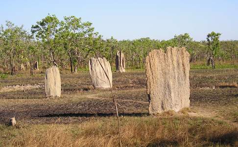 Litchfield National Park