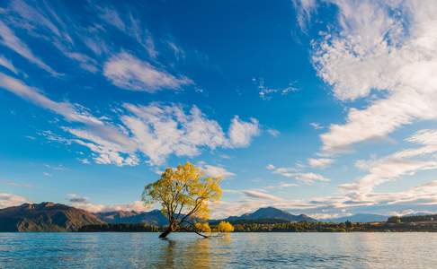 Lake Wanaka