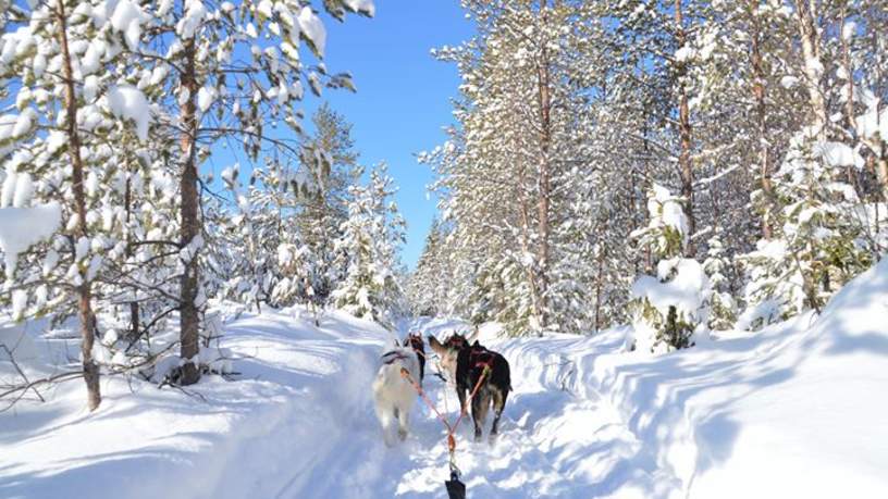 Een huskysledetocht hoort er natuurlijk bij