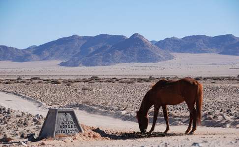 Garub Pan bij Aus, Namibië