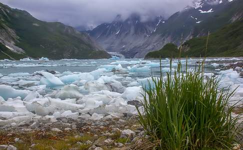 McBride Glacier, Glacier Bay National Park