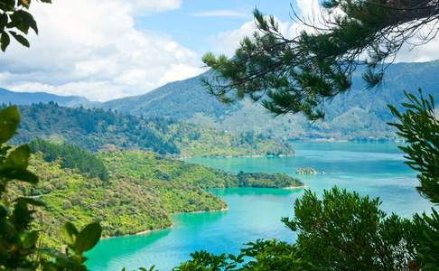 Marlborough Sounds © Dmitry Naumov