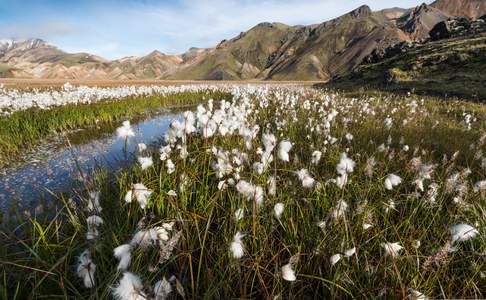 Landmannalaugar